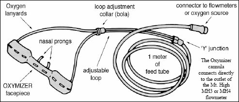 Oxymizer Fio2 Chart