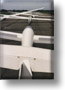 m9ael01-s.jpg (8167 bytes)