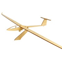 Pure Planes ASH 25