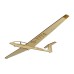 Pure Planes ASK 21