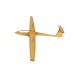 Pure Planes ASW 20