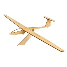 Pure Planes ASW 20
