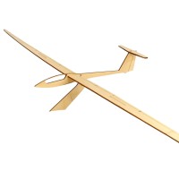 Pure Planes ASW 22