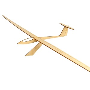 Pure Planes ASW 22