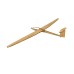 Pure Planes DG-300