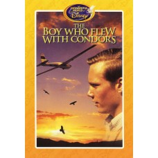 The Boy Who Flew With Condors